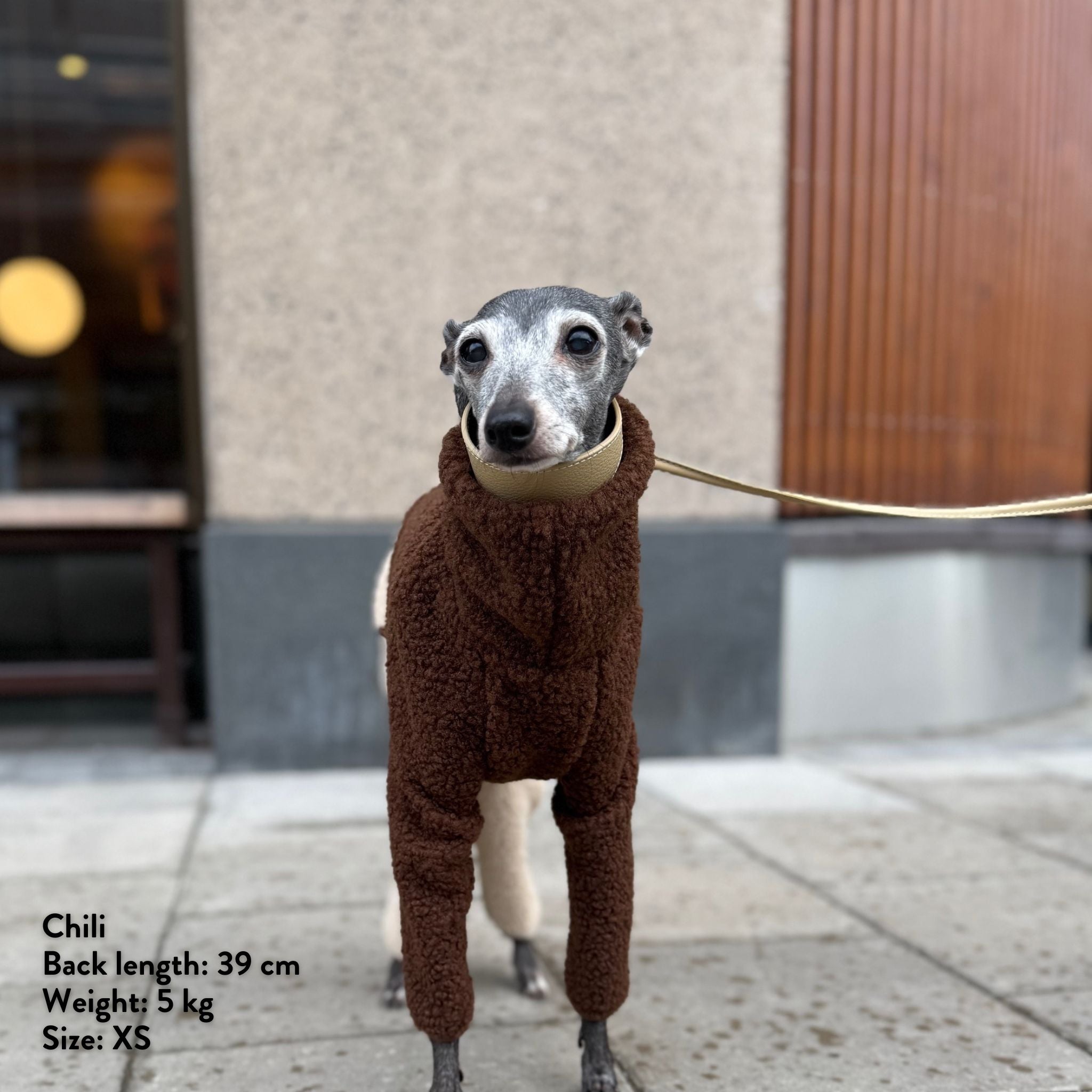 Beige & Brown Sighthound Fleece Onesie