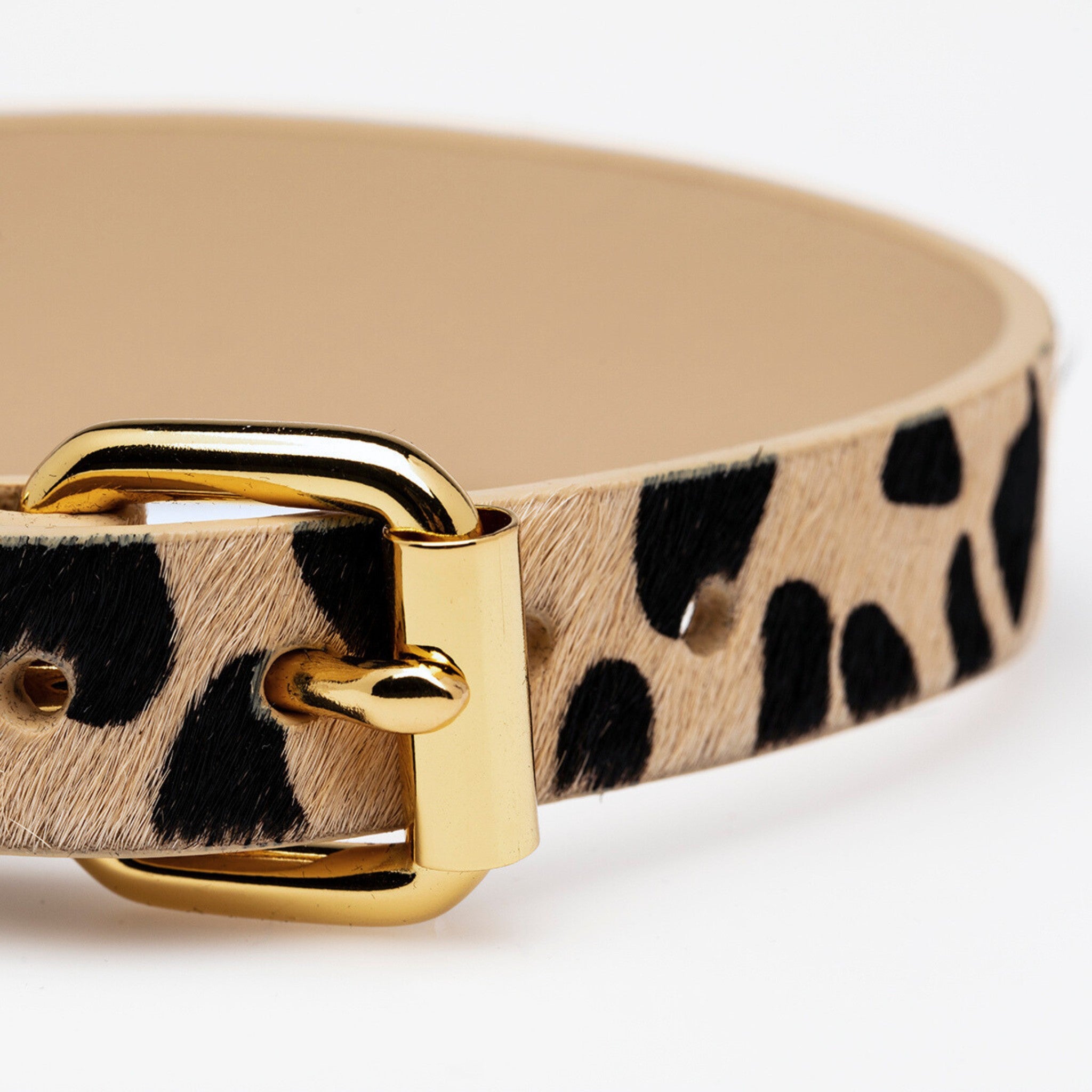 Collier pour chien léopard fin