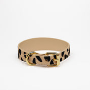 Collier pour chien léopard fin