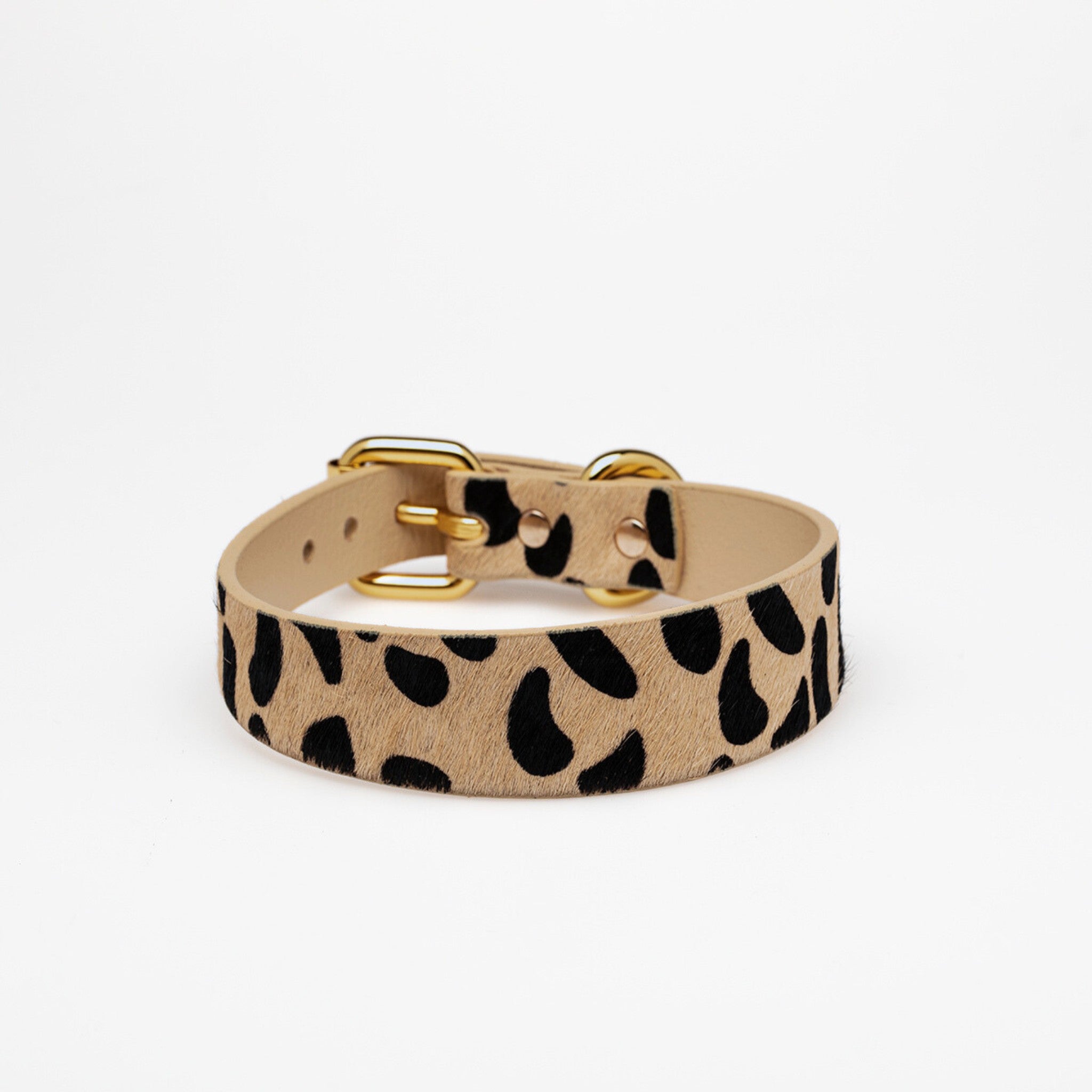 Collier pour chien léopard fin