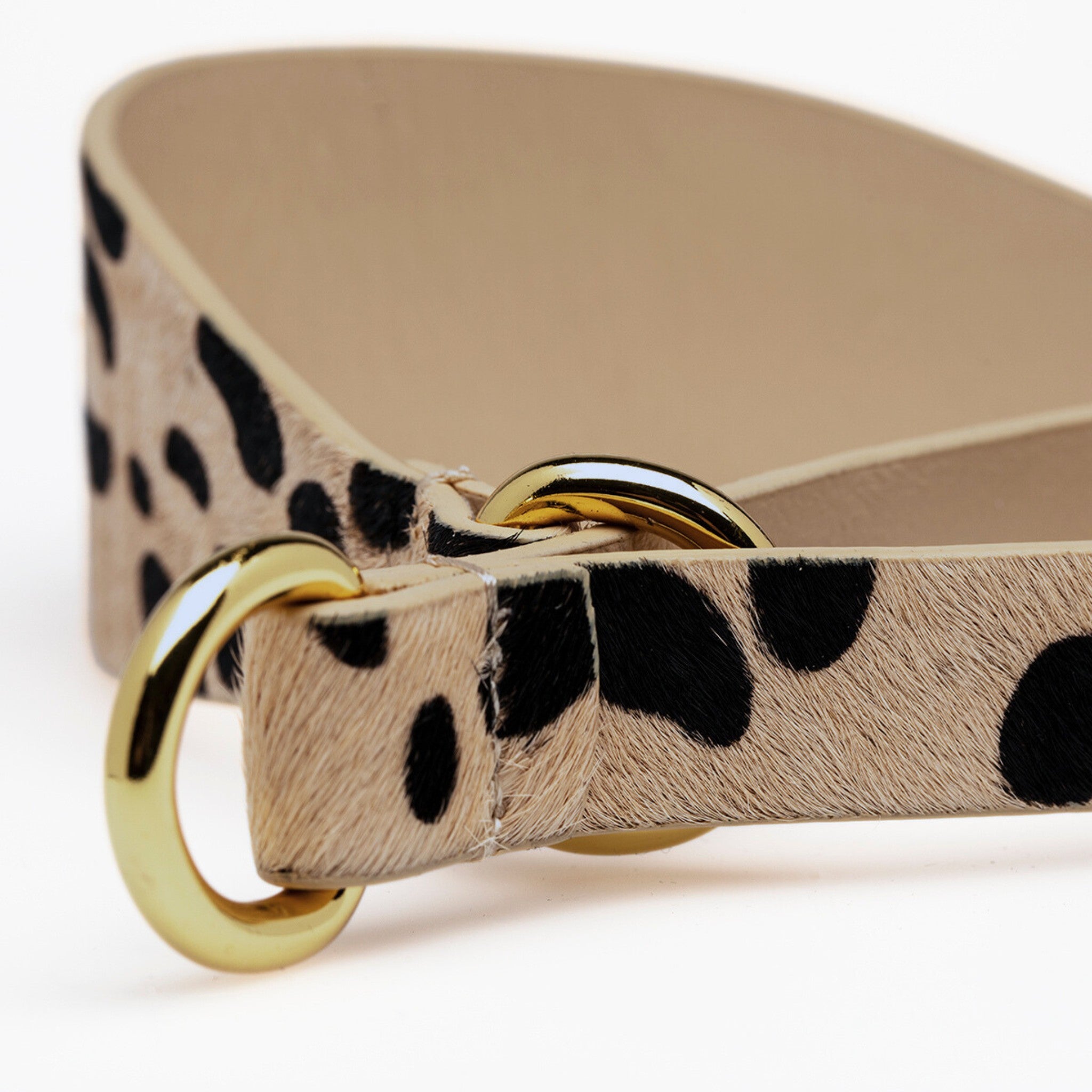 Collier martingale léopard pour chien