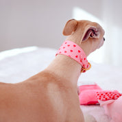 Collier pour chien Love Wide