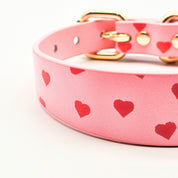 Collier de chien Love fin