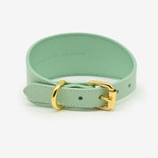 Collier de chien large menthe