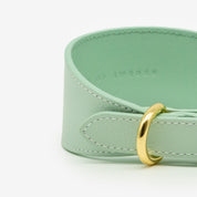 Collier de chien large menthe