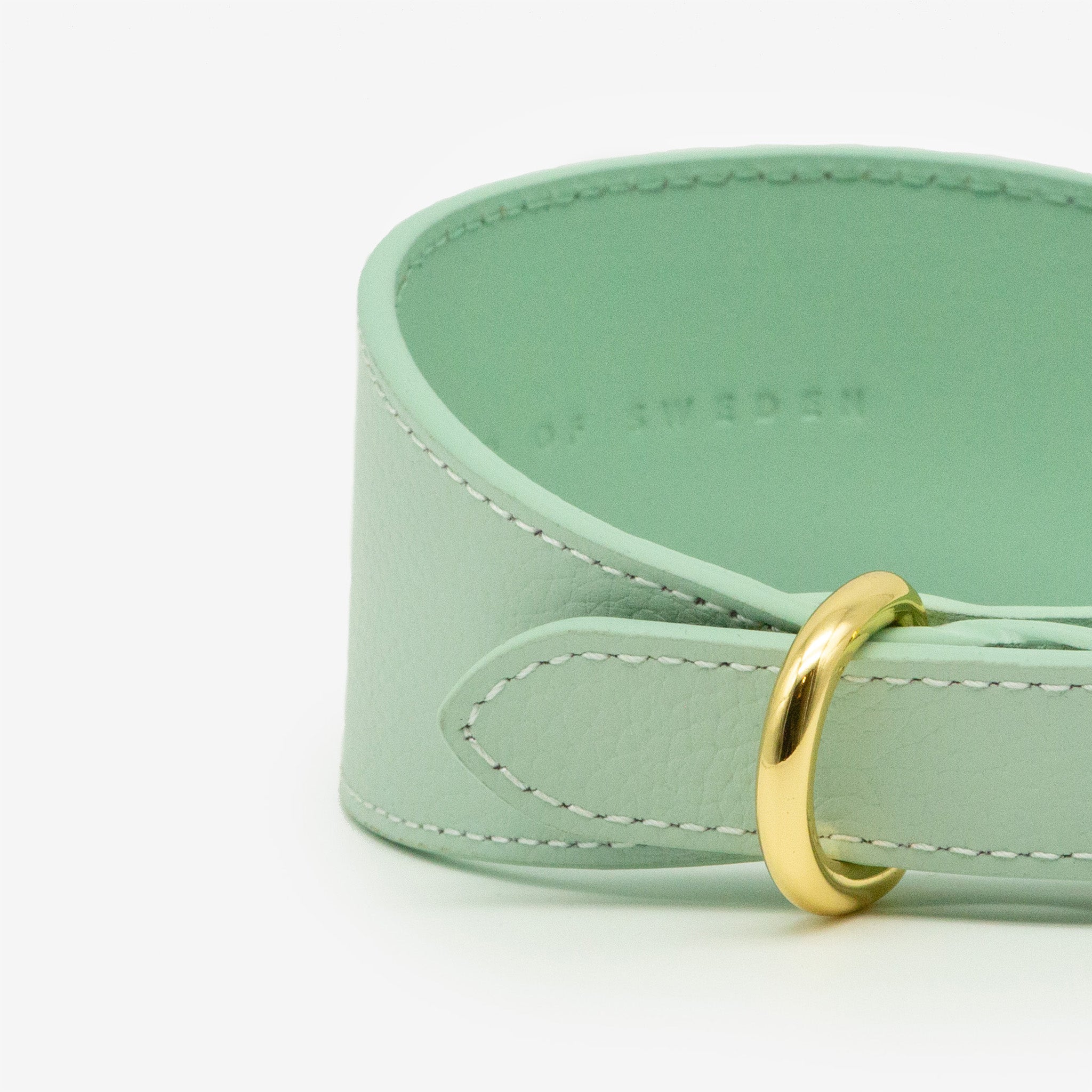 Collier de chien large menthe