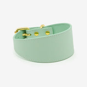 Collier de chien large menthe