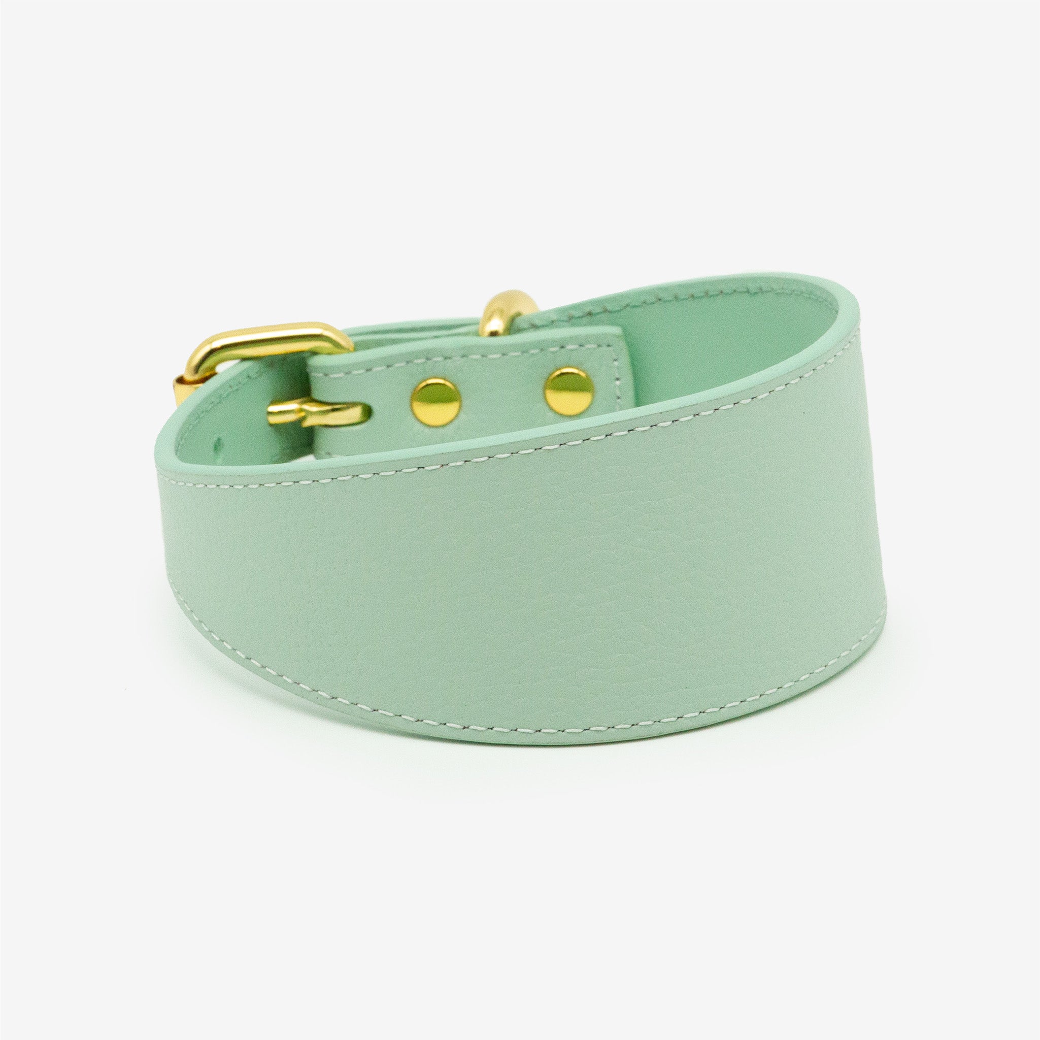 Collier de chien large menthe