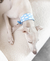 Collier pour chien Nuages ​​Large