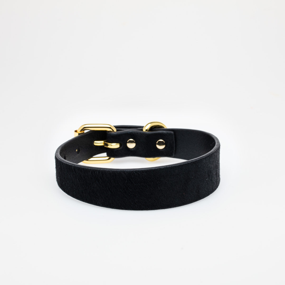 Collier pour chien Panther Thin