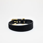 Collier pour chien Panther Thin