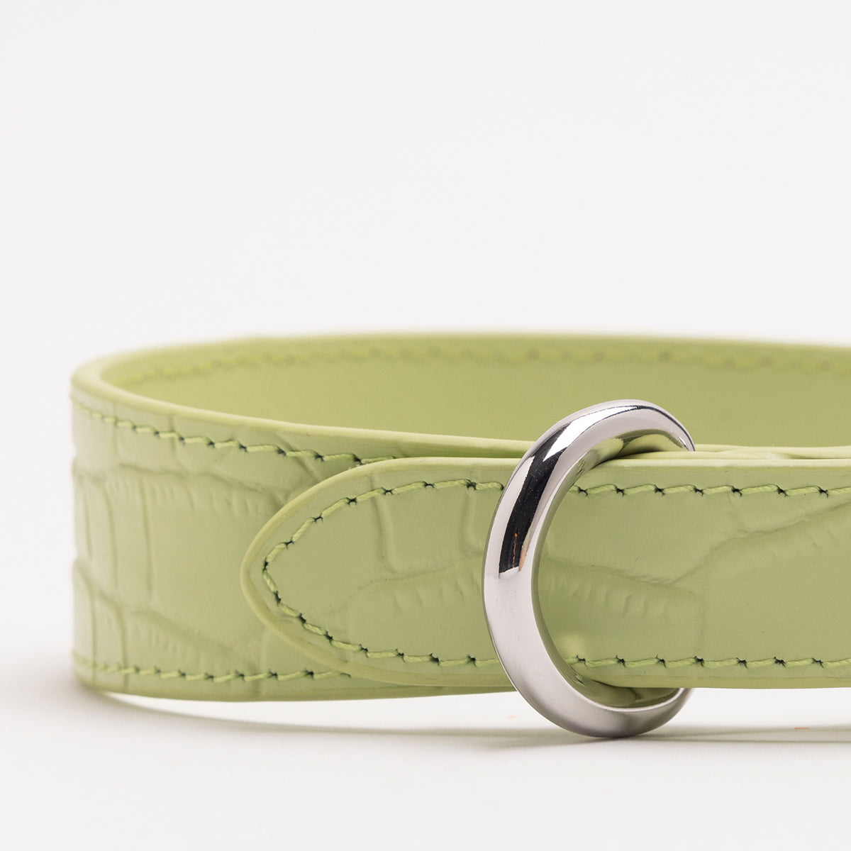 Collier pour chien fin en croco vert pastel