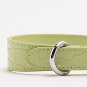 Collier pour chien fin en croco vert pastel