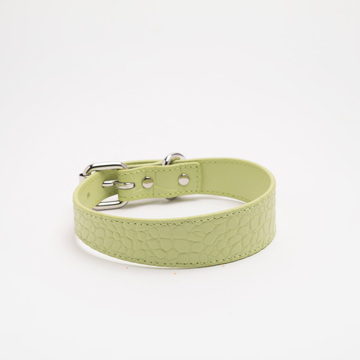 Collier pour chien fin en croco vert pastel