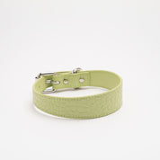 Collier pour chien fin en croco vert pastel
