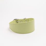 Collier de chien large en croco vert pastel