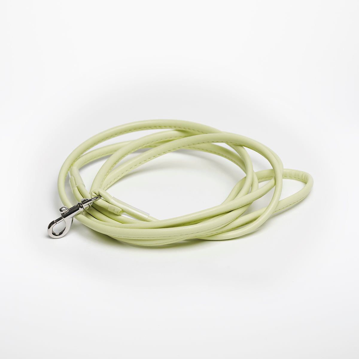 Laisse pour chien vert pastel