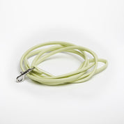 Laisse pour chien vert pastel