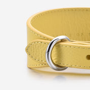 Collier pour chien jaune pastel large