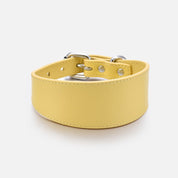 Collier pour chien jaune pastel large