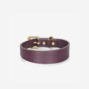 Collier de chien fin prune