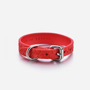 Collier pour chien tressé rouge pur fin