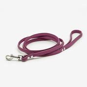 Laisse pour chien prune
