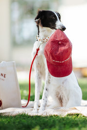 Casquette en jean rouge - My Dog Is My Shrink