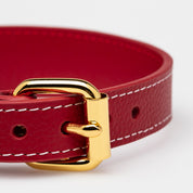 Collier pour chien rouge fin