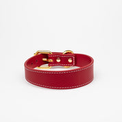 Collier pour chien rouge fin