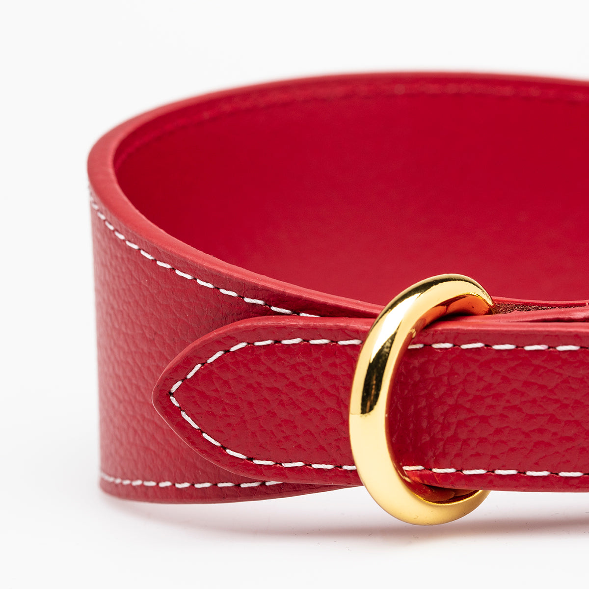 Collier de chien rouge large