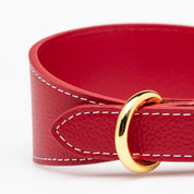 Collier de chien rouge large