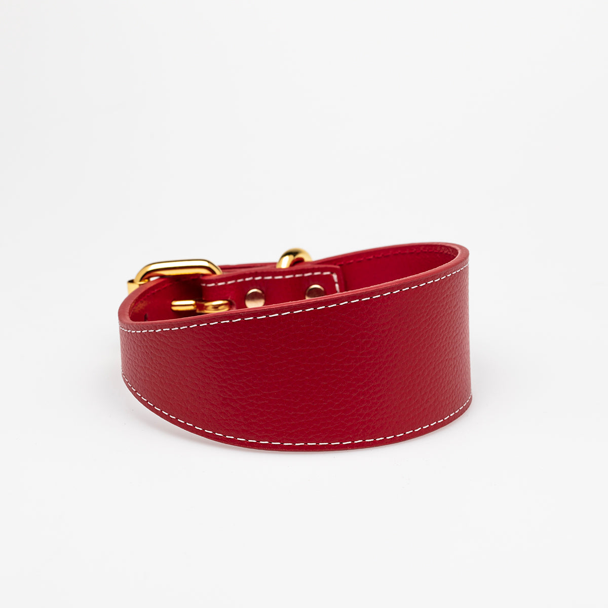 Collier de chien rouge large