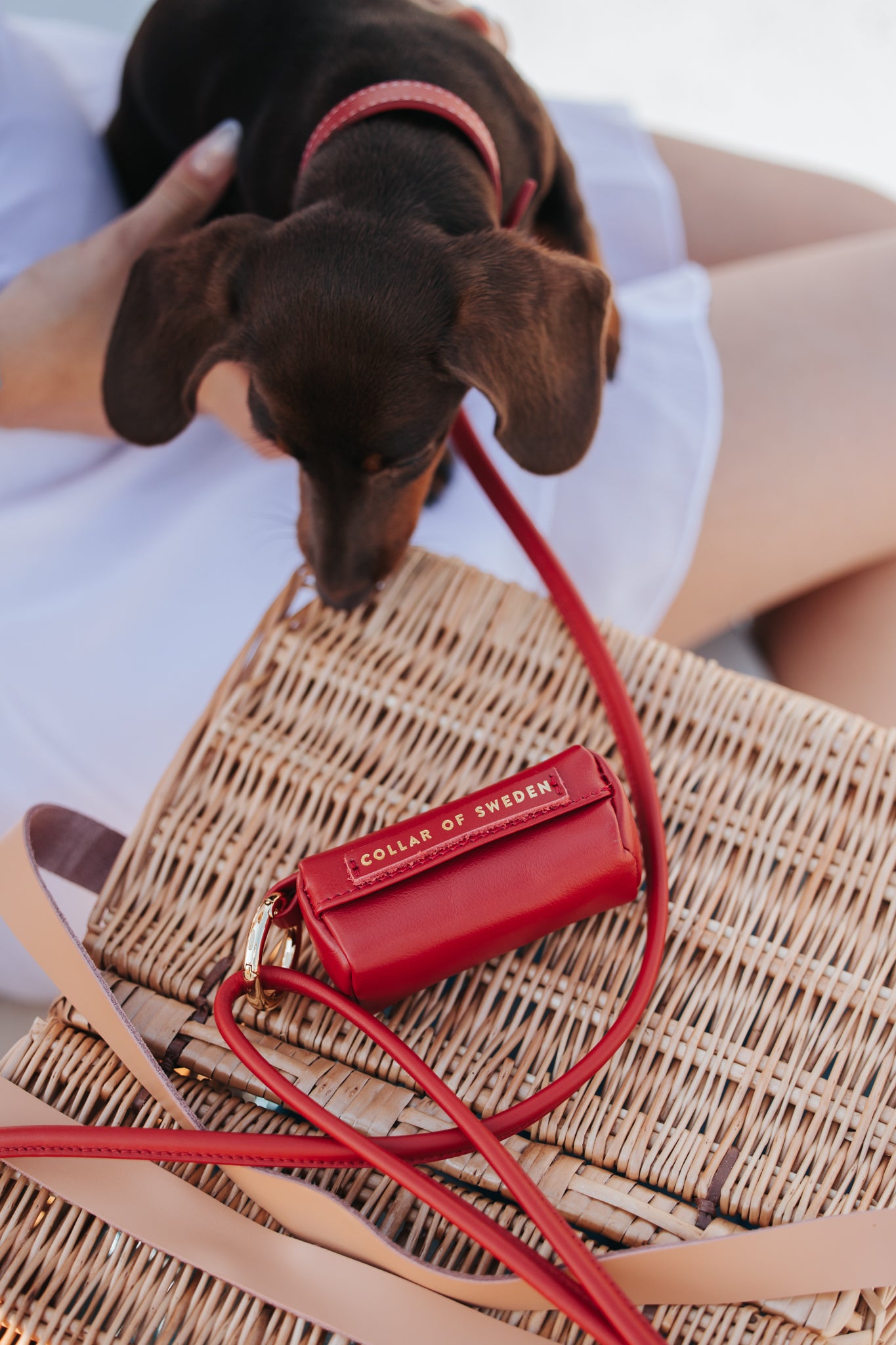 Porte-sac à crottes rouge 
