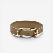 Collier de chien mince réfléchissant en bronze