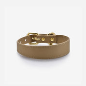 Collier de chien mince réfléchissant en bronze