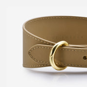 Collier de chien large en bronze réfléchissant