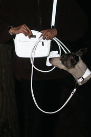 Sac pour chien réfléchissant