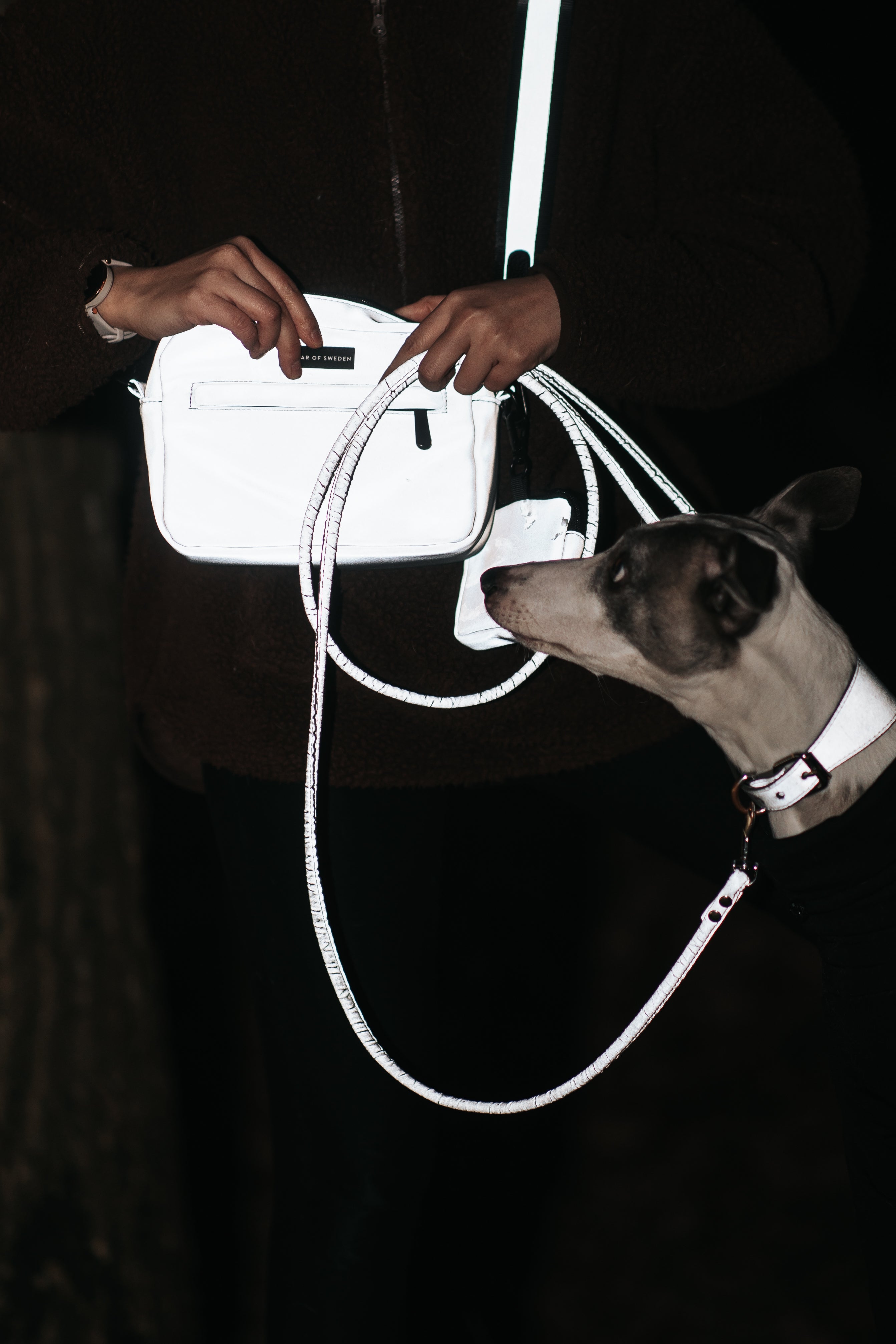 Sac pour chien réfléchissant
