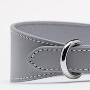 Collier de chien réfléchissant en argent large