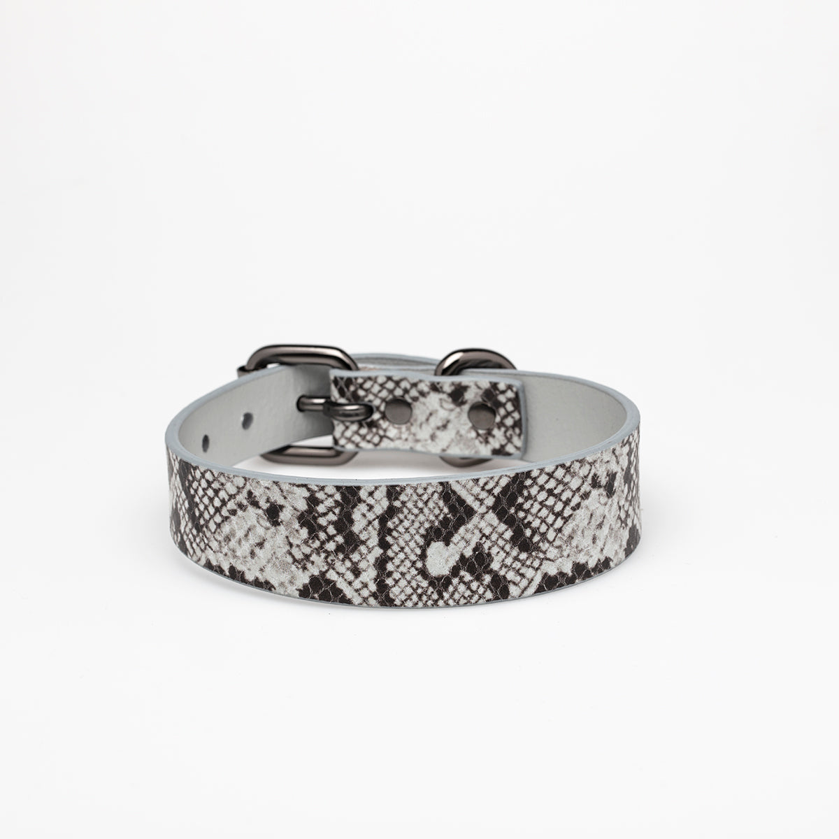 Collier de chien serpent fin
