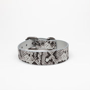 Collier de chien serpent fin