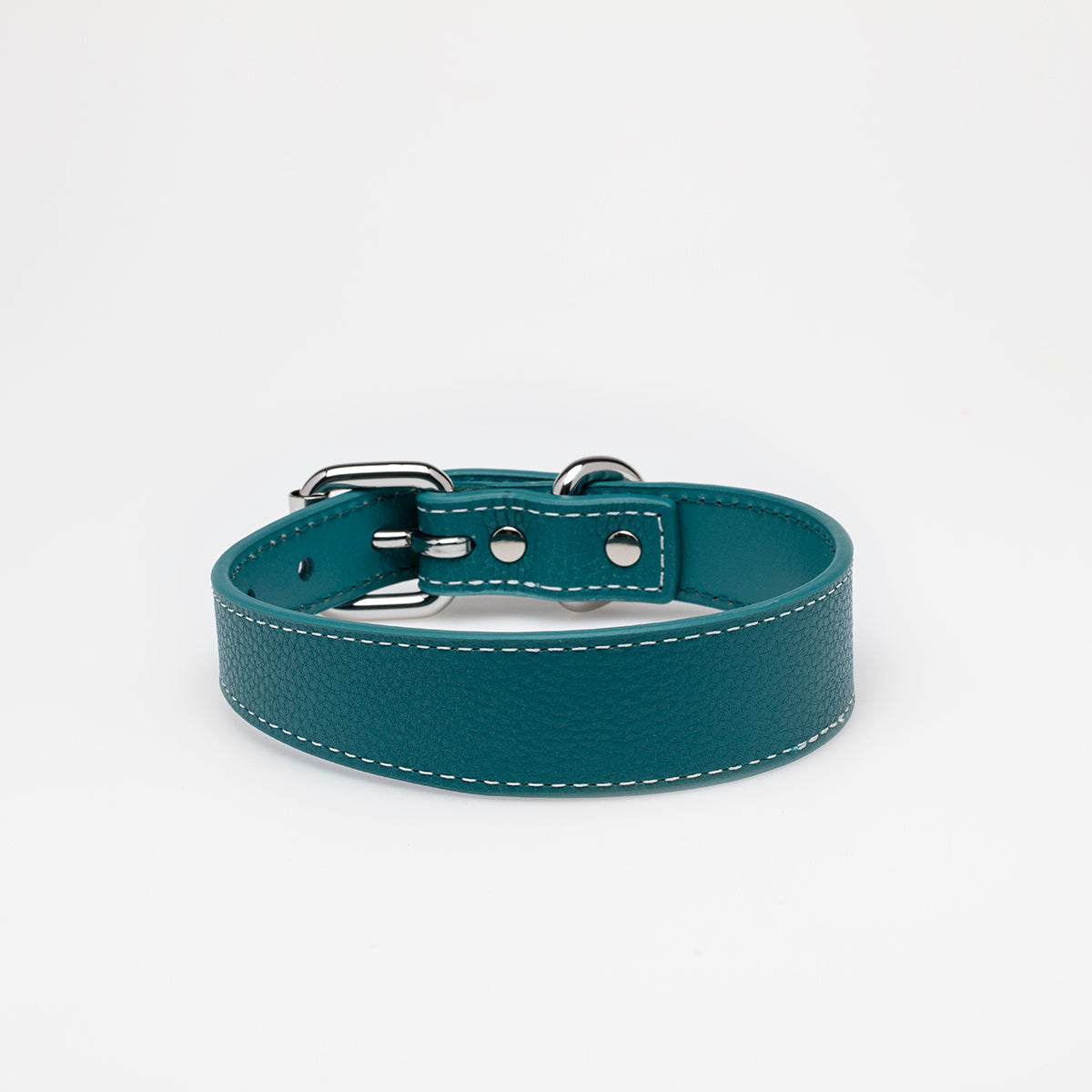 Collier pour chien turquoise fin