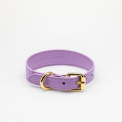 Collier de chien fin Violet Croco

