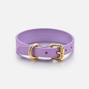 Collier pour chien violet fin