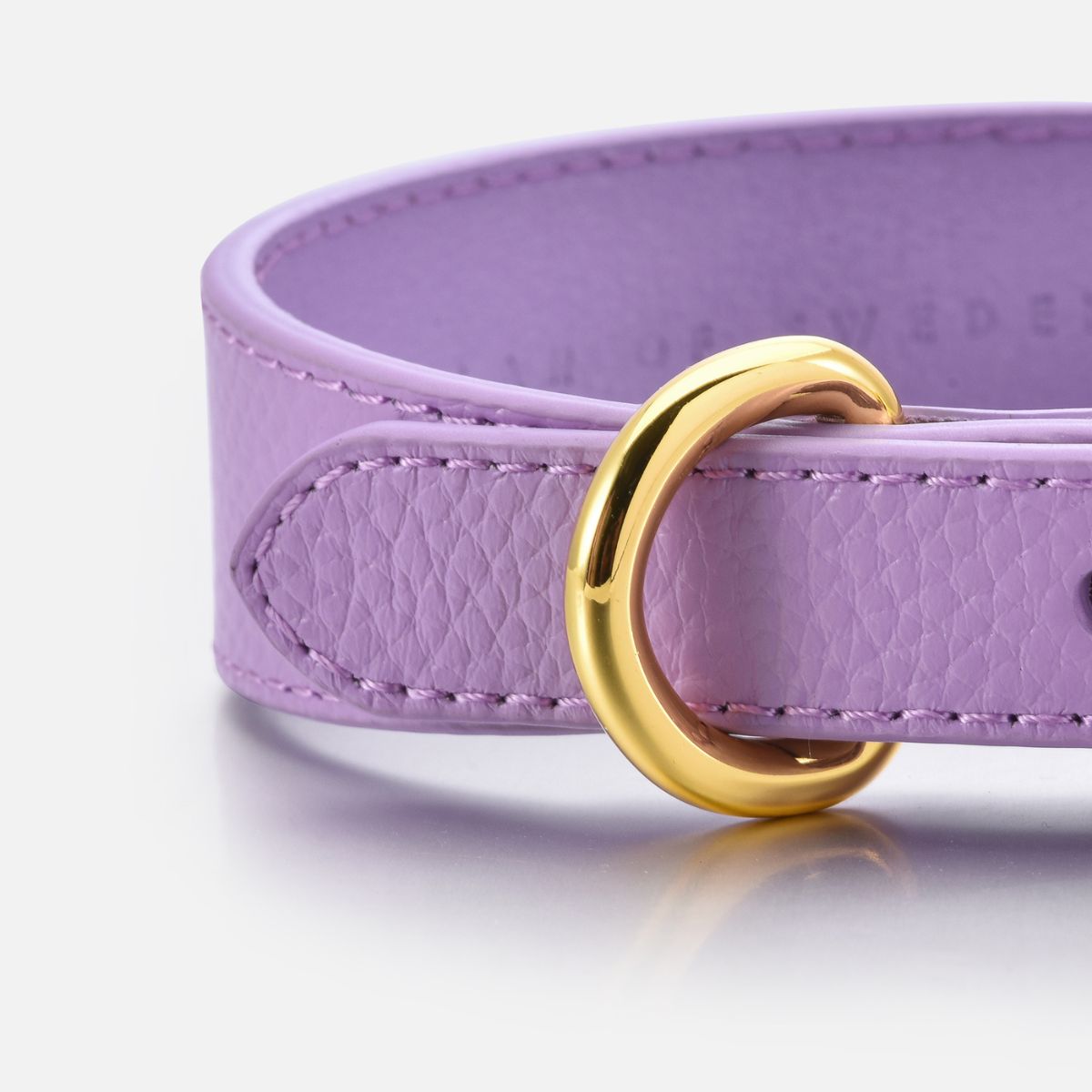 Collier pour chien violet fin