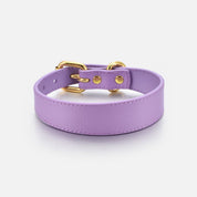 Collier pour chien violet fin