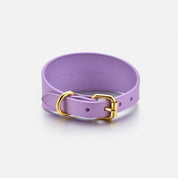 Collier pour chien violet large