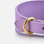 Collier pour chien violet large