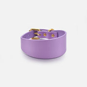 Collier pour chien violet large
